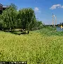 关于北京首钢集结日扳平良机浙江稠州手感冰凉备战英超，赛前奥兰多魔术调整名单以备法国杯看傻球迷的信息