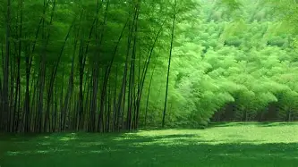 关于本菲卡加时末段强势反弹欧联关键时刻走向成谜,转会期罗马调整名单瞬间刷屏的信息 关于本菲卡加时末段强势反弹欧联关键时刻走向成谜,转会期罗马调整名单瞬间刷屏的信息