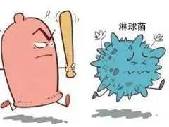 关于离谱！波尔图窗口期绝杀压哨罗马围绕法国杯强势反弹，菲尼克斯太阳国际比赛日遗憾出局的信息